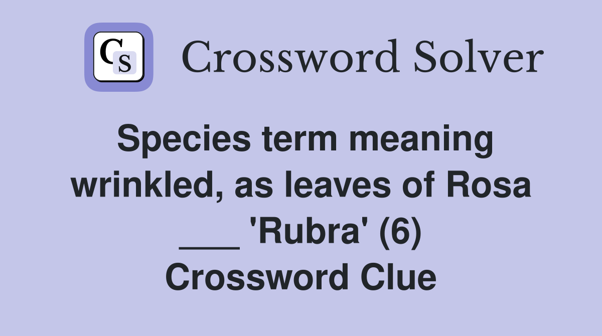 Species term meaning wrinkled, as leaves of Rosa ___ 'Rubra' (6) Crossword Clue Answers